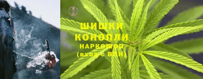 Бошки марихуана OG Kush  купить   Куровское 